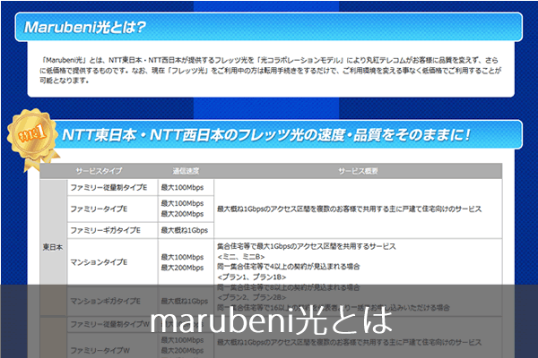 Marubeni光の評判や解約の際の違約金などを業界人が分析 ネット回線247 Net