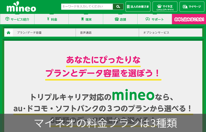マイネオの料金プランは3種類