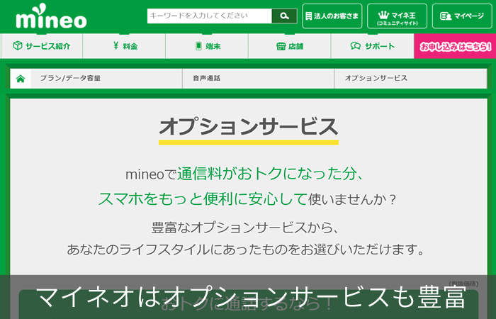 マイネオはオプションサービスも豊富